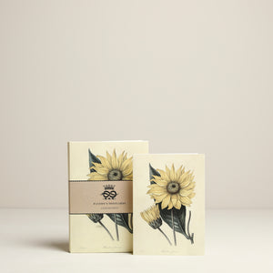 
                  
                    Paxton botanical notecards
                  
                