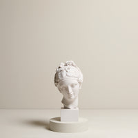 A Spinning Lady Bust