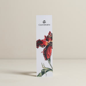 
                  
                    The Gorgeous Nothings Bookmark
                  
                