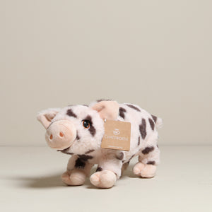 
                  
                    Clemmy the Pig Soft Toy
                  
                