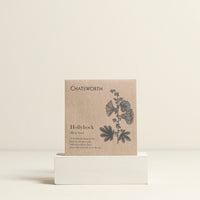 Hollyhock Flower Seeds