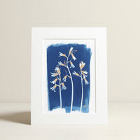 Bluebell Cyanotype Print