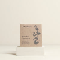Chatsworth Sweet Pea Flower Seeds