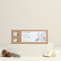 Christmas Pine Forest 10 Wax Melt Set