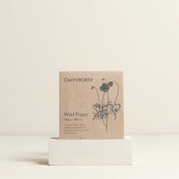 Wild Poppy Flower Seeds