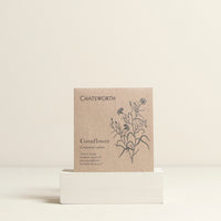 Cornflower Flower Seeds