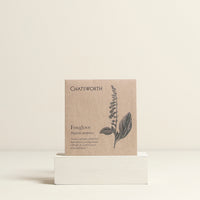 Foxglove Flower Seeds