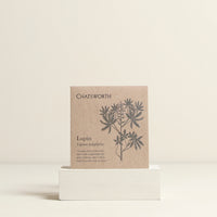 Lupin Flower Seeds