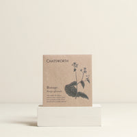 Borage Herbs Seeds
