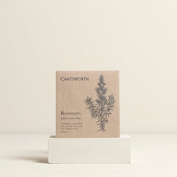 Rosemary Herbs Seeds