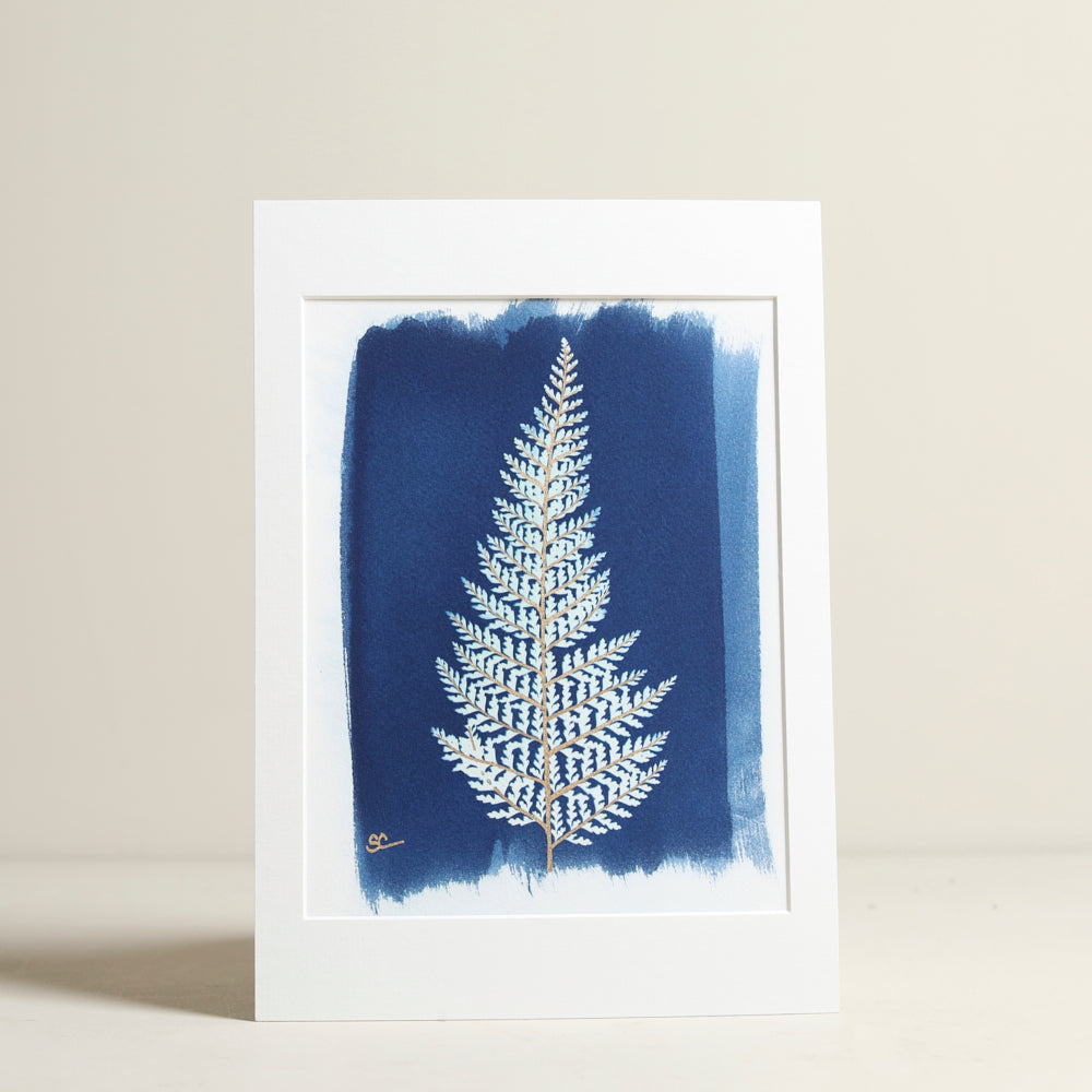 Botanical Cyanotype Fern | Original Botanical Prints – Chatsworth Shop
