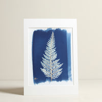 Fern Cyanotype Print