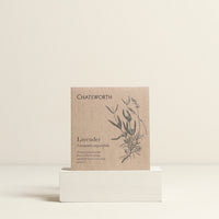 Lavender Flower Seeds