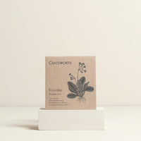 Cowslip Flower Seeds