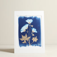Geranium Cyanotype Print