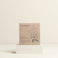 Verbena Flower Seeds