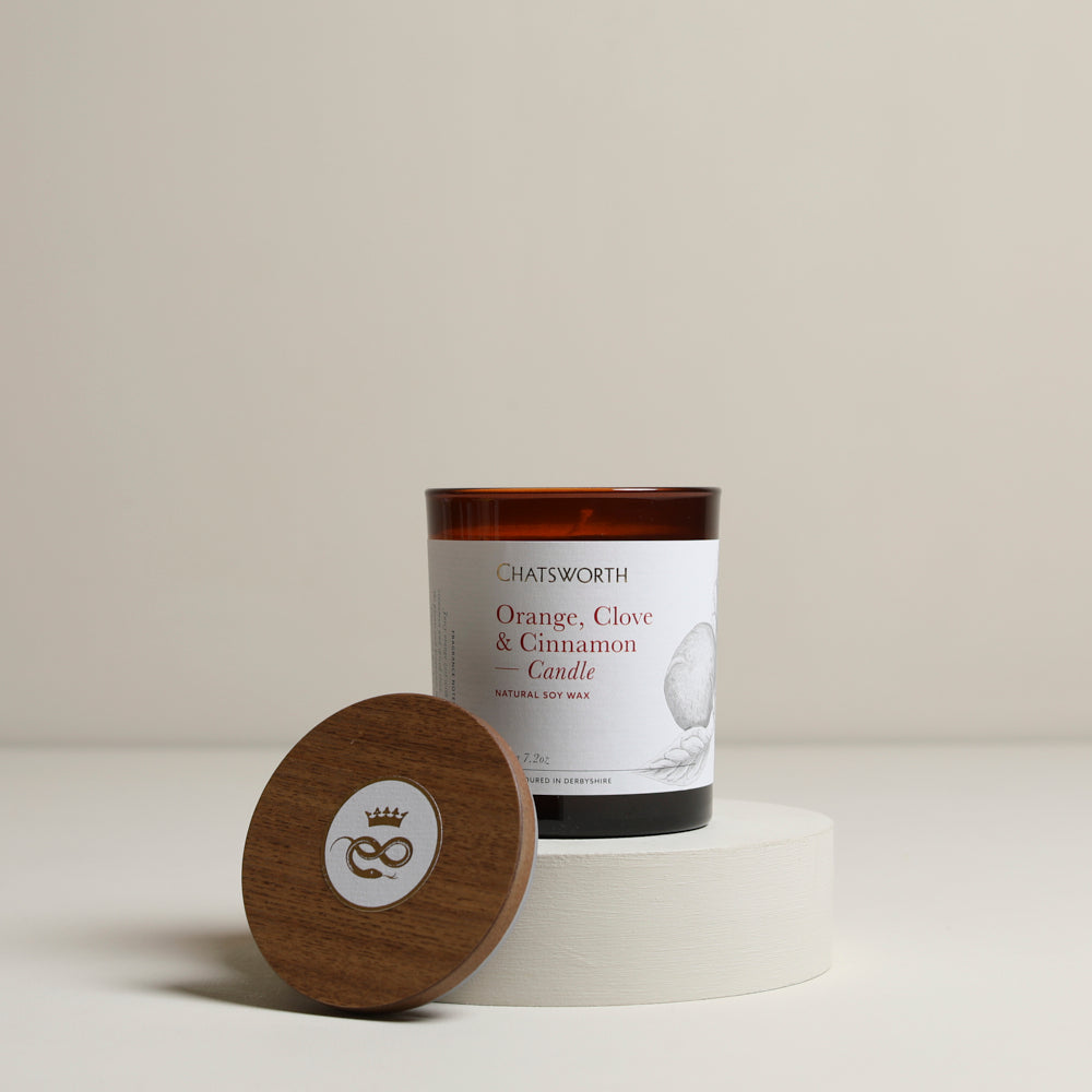 
                  
                    Orange, Cinnamon & Clove Candle 220g
                  
                