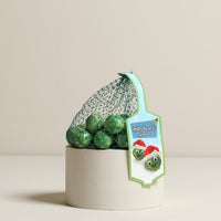 Milk Chocolate Sprout Balls