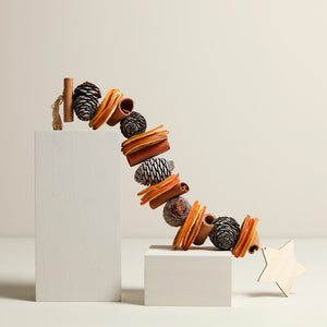 
                  
                    Christmas Pine Cone and Orange Decoration
                  
                