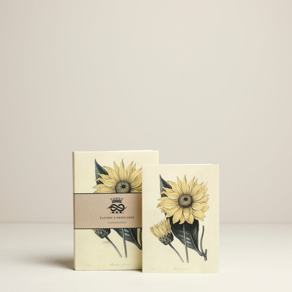 
                  
                    Paxton botanical notecards
                  
                