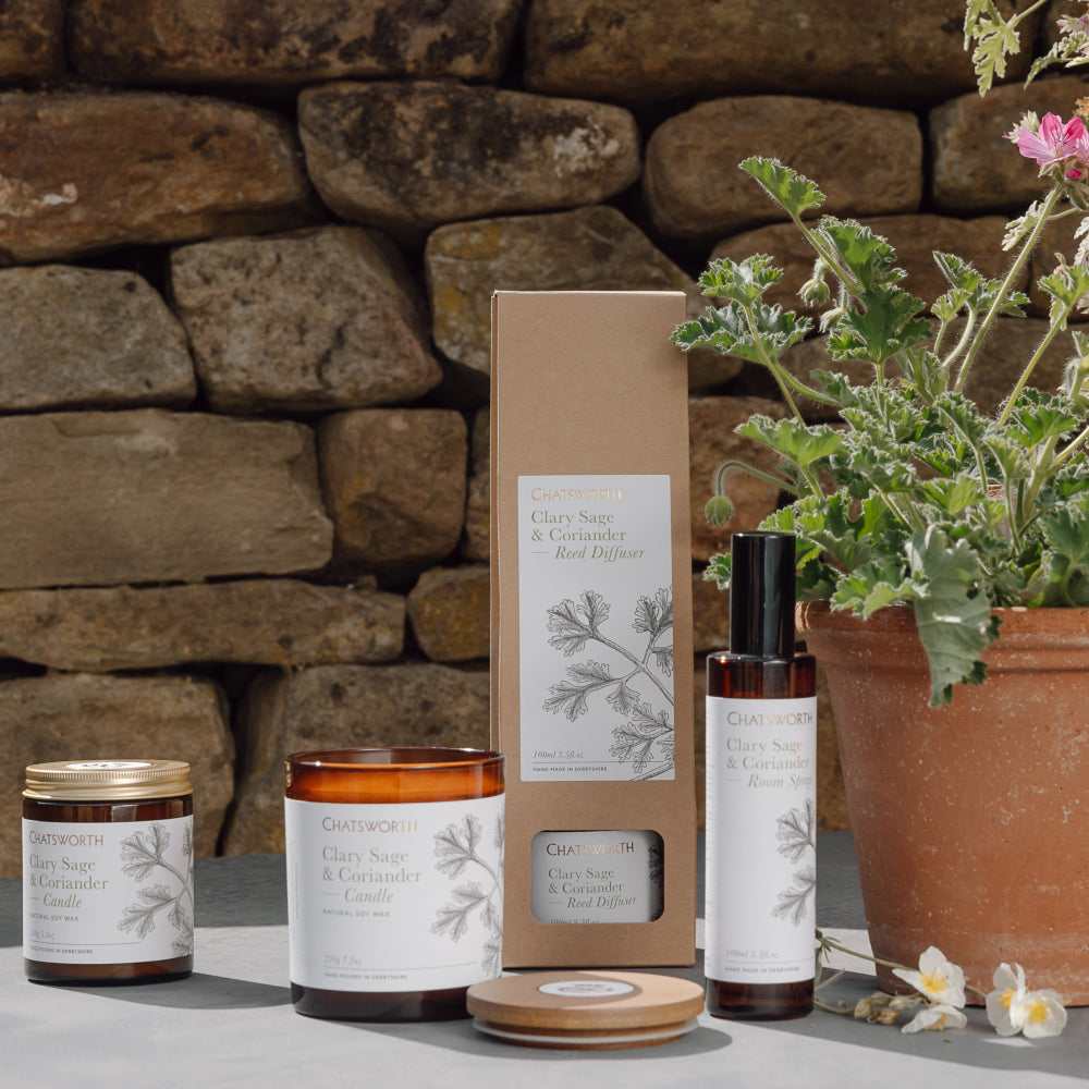 
                  
                    Clary Sage & Coriander Reed Diffuser
                  
                