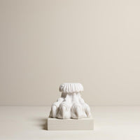 Lion's Paw Bookend