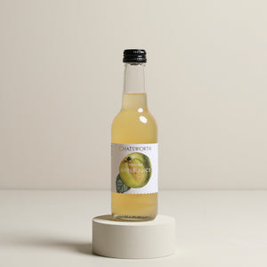 
                  
                    Apple juice 250ml
                  
                