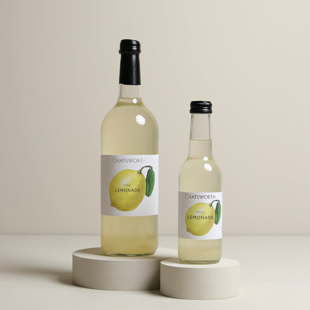 
                  
                    Lemonade 250ml
                  
                